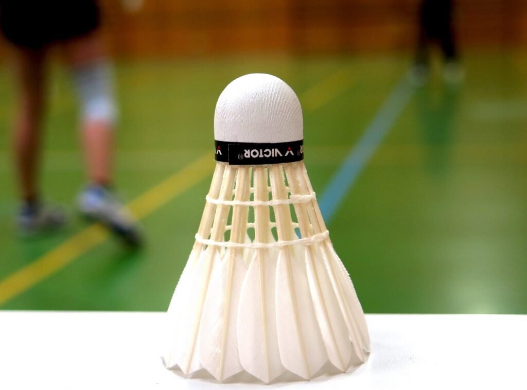 badminton, ball, sports-783601.jpg